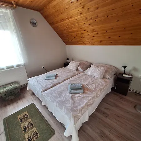 Miseta Apartman Buzsák