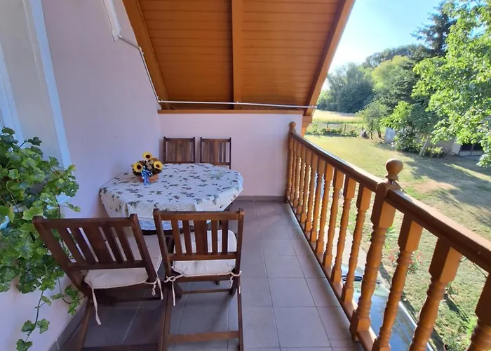 Miseta Buzsák