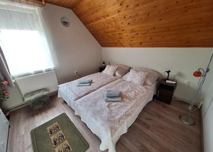 Miseta Apartman Buzsák